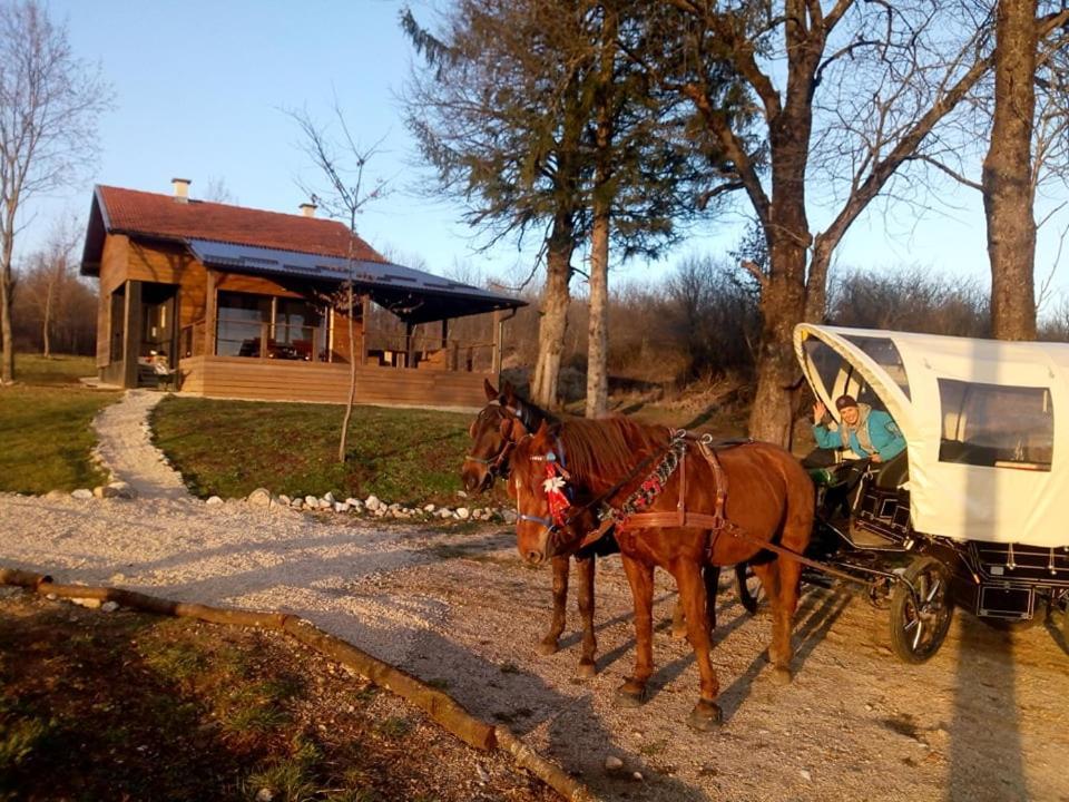 Evergreen House Plitvice Раковица Экстерьер фото